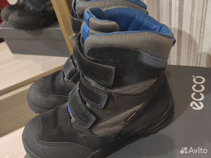 Зимние сапоги Ecco