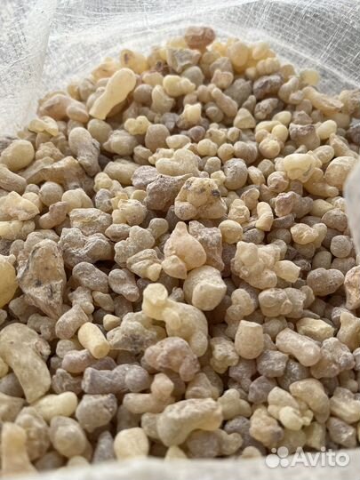 Ладан смола Олибанум