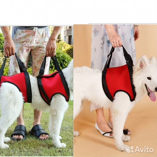 Ходунки-бандаж для задних + передних лап животных