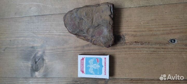 Окаменелость Септария