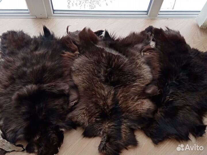 Шкуры козла