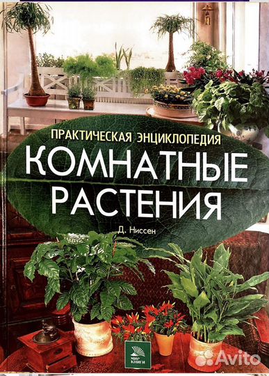 Комнатные растения