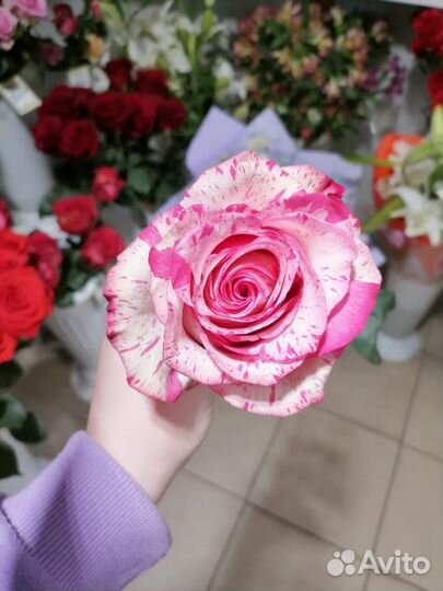 Роза, гербера, лилия, альстромерия, хризантема