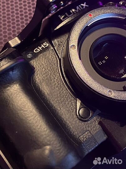 Panasonic lumix gh5