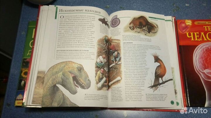 Энциклопедии