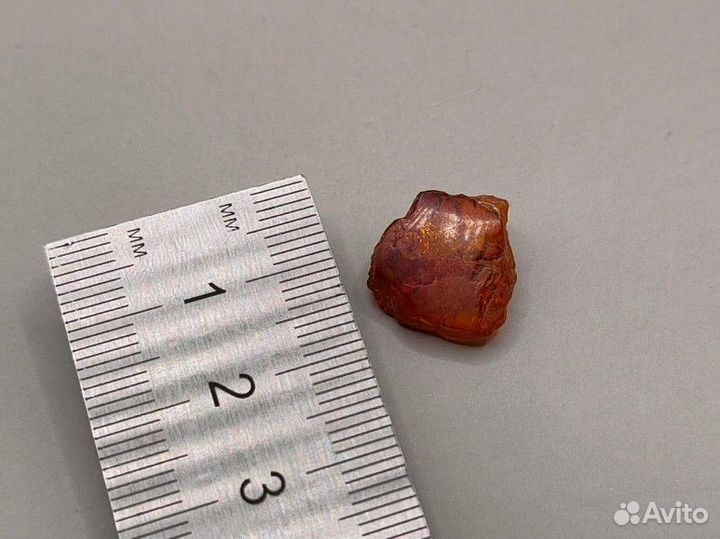 Паучок / Инклюз в янтаре