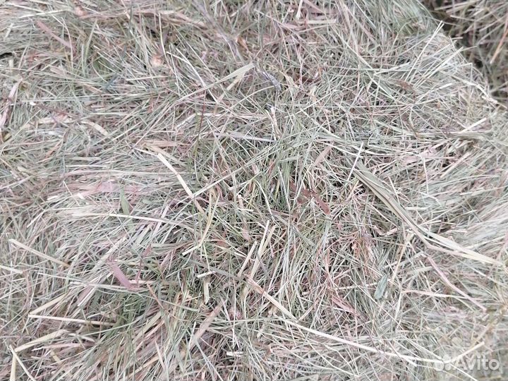 Сено в тюках