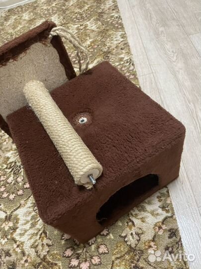 Когтеточка