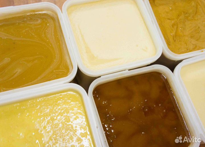 2024 Мёд натуральный из Алтая опт