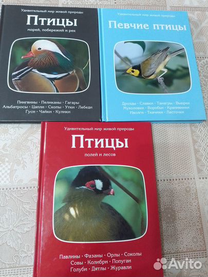 Серия книг