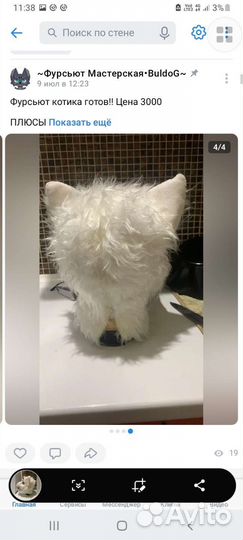 Фурсьют кота