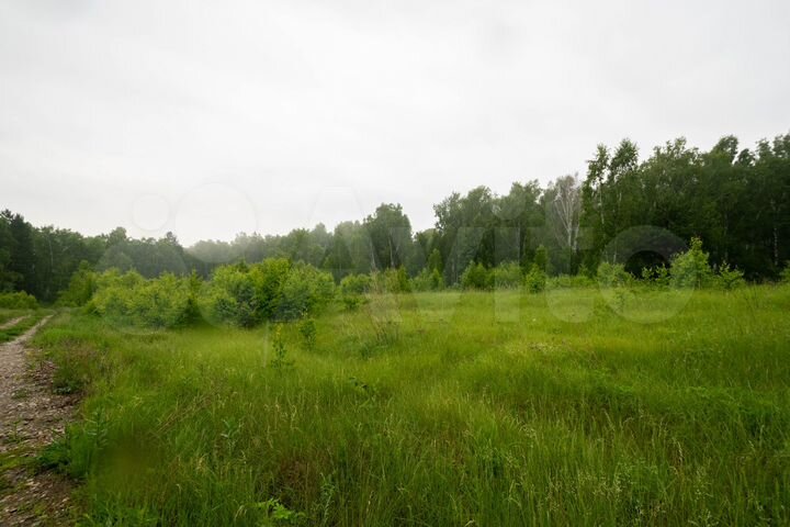 Участок 10 сот. (ИЖС)