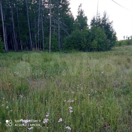 Участок 4 сот. (ИЖС)
