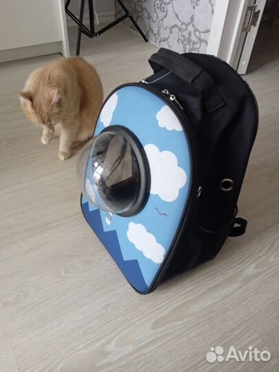 Рюкзак переноска для кошек