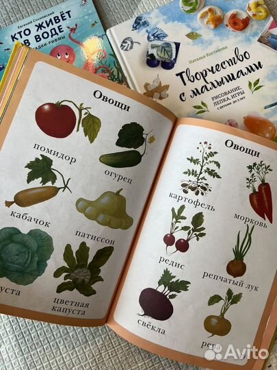 Развивающие книги для детей до 3 лет Робинс