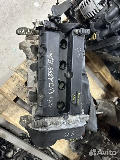 Двигатель pnda Ford Focus 3 2011-2019