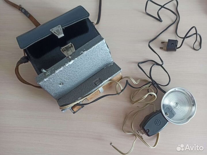 Вспышка Чайка