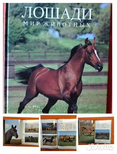 Книги о животных