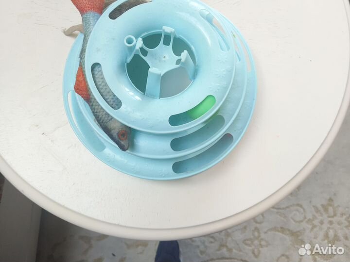 Игрушки для кошки