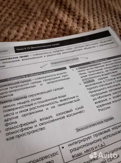 Егэ обществознание. Конспекты. Кодиф. (Электронно)