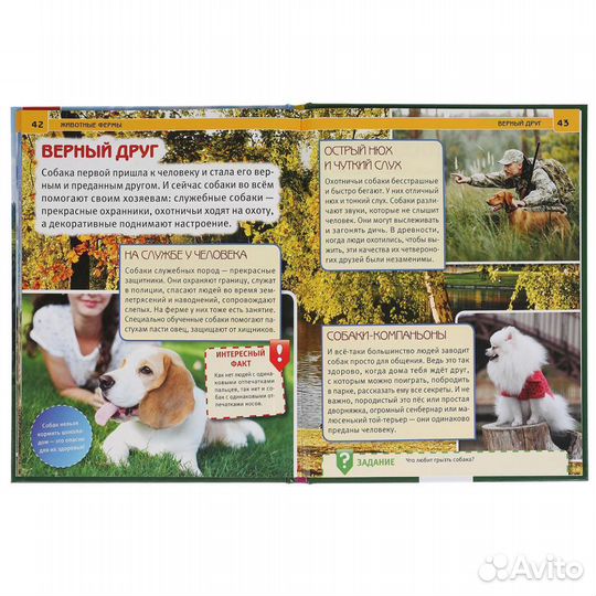 Энциклопедия с заданиями Животные фермы 1643