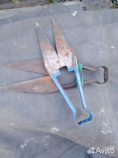 Ножницы для стрижки овец