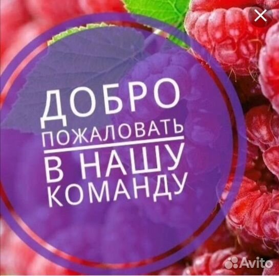 Грузчик-мерчендайзер(продукты питания)