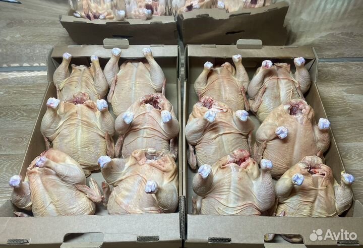 Набор: домашний бройлер