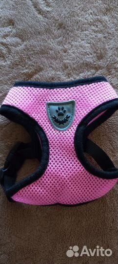 Шлейка с поводком для собаки