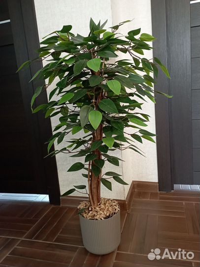 Фикус искусственный
