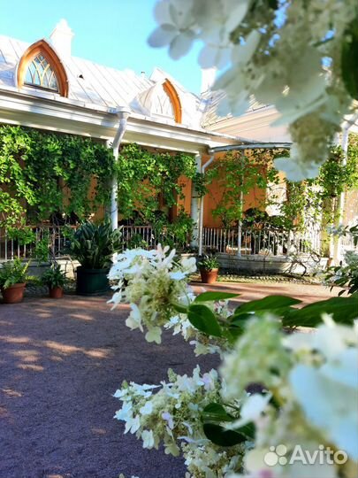 Гид экскурсовод по Петергофу