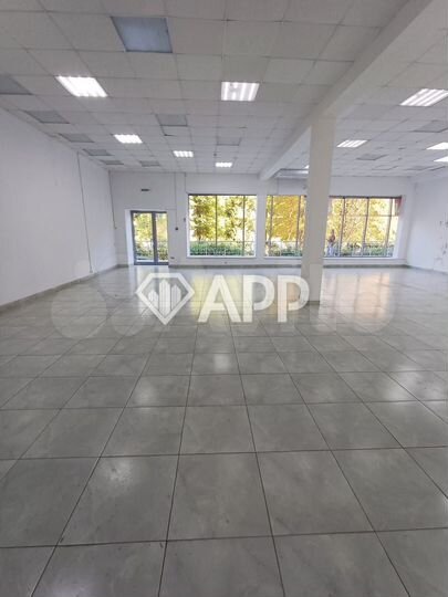 Торговая площадь, 250 м²