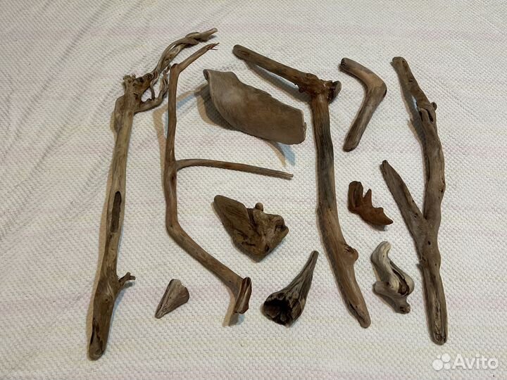 Топляк дрифтвуд сочинский