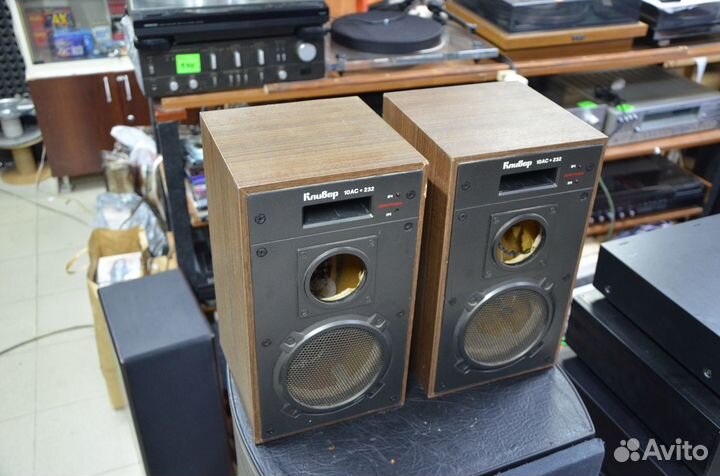 Корпуса колонок Кливер 10ас-232 состояние