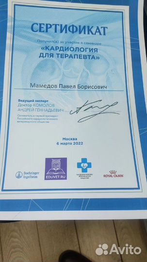 Вет врач На дом Круглосуточно