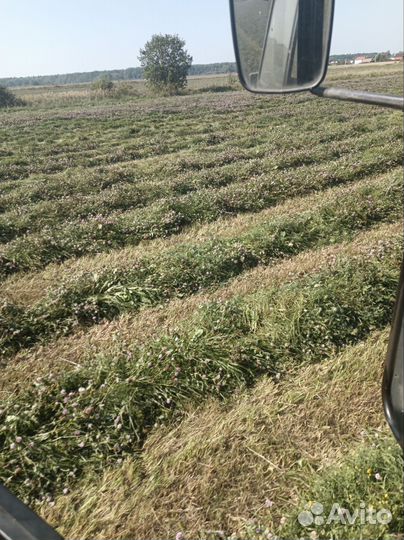 Сено в рулонах