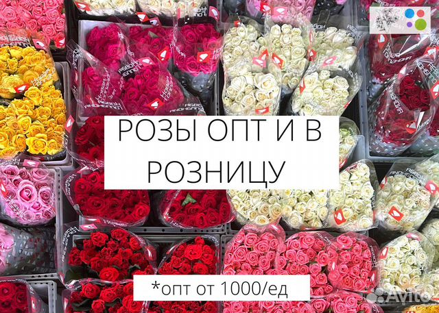101 Роза оптом и в розницу доставка цветы