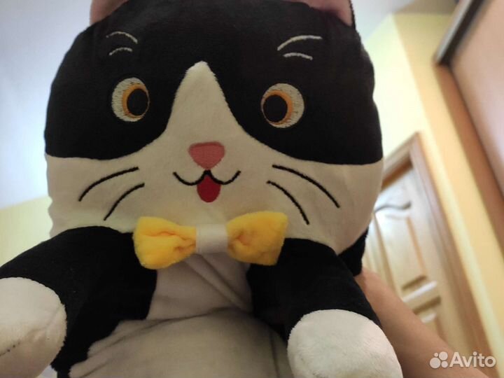 Домашняя передержка животных