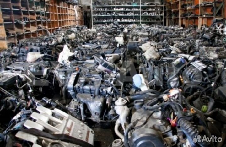 Двигатель Skoda Super B 1.9TDI BPZ