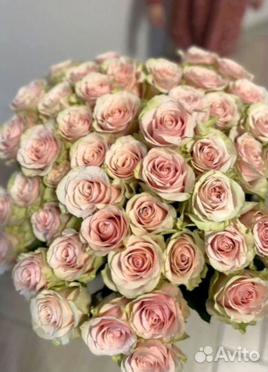 Букет роз. Розы