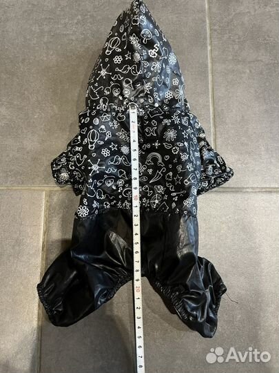 Одежда для собак