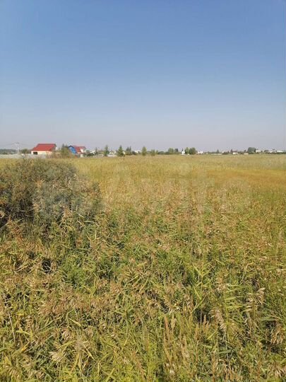 Участок 10 сот. (СНТ, ДНП)