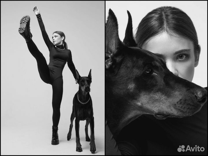 Фотосессия с доберманом 