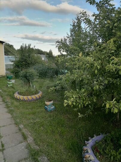 Дом 55 м² на участке 17 сот.