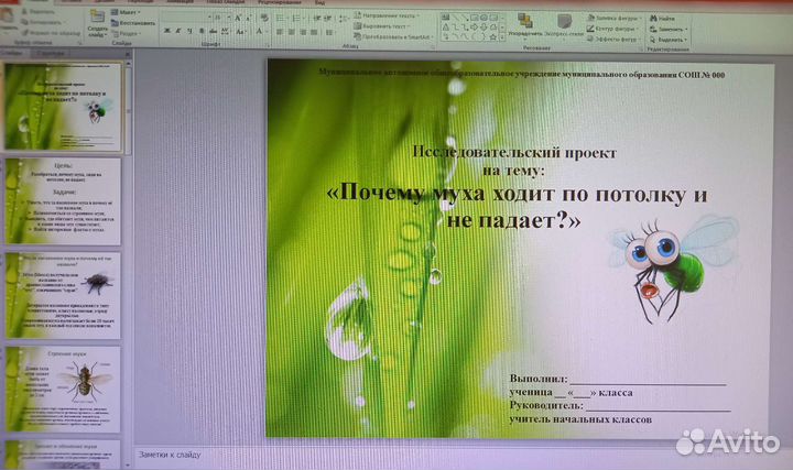 Школьный проект и презентация (комплект)