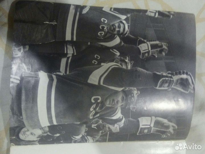 Ледовые рыцари