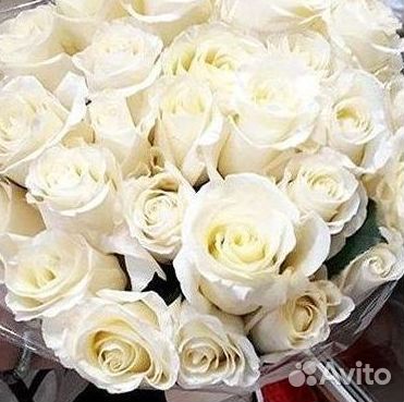 Метровые розы 110