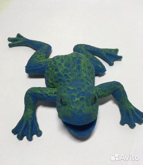 Камышовая жаба