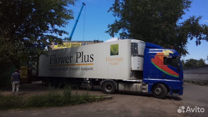 Michelin Alpin 5 225/50 R17 98V