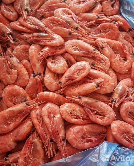 Самые вкусные морепродукты на расстоянии звонка